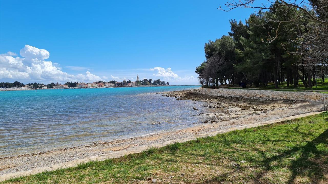 Apartments Kivi Novigrad Istria Extérieur photo