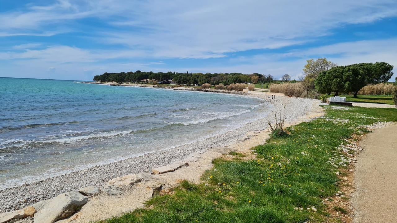 Apartments Kivi Novigrad Istria Extérieur photo