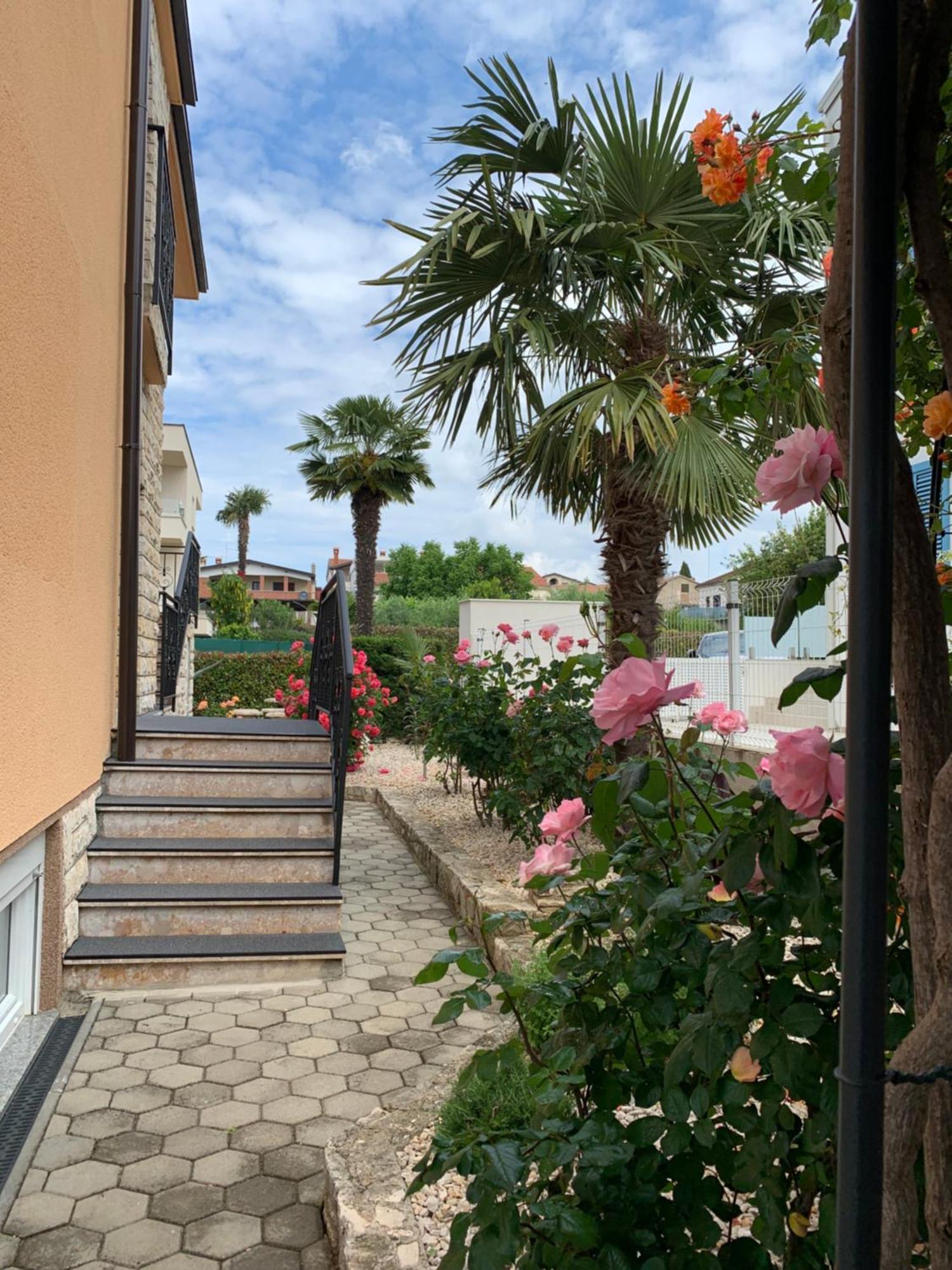 Apartments Kivi Novigrad Istria Extérieur photo