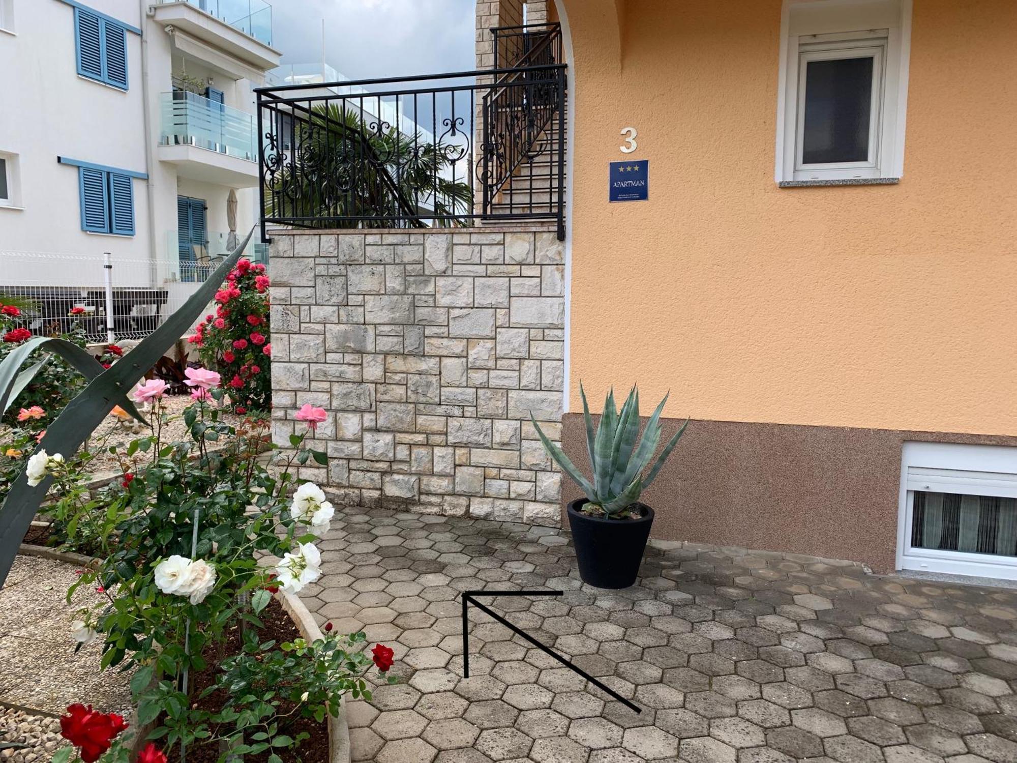 Apartments Kivi Novigrad Istria Extérieur photo